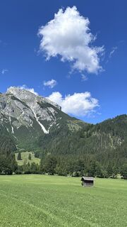 Zdjęcie z Mountain Cat ? ⛰️ wzdłuż trasy