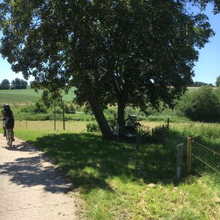 Rundweg am Seeburger See