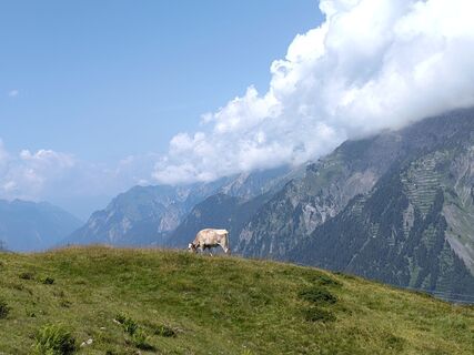 Foto von Sylvia Bierbaumer entlang der Tour