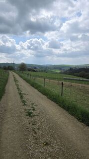 Photo de Dietmar Herrenschmidt le long du parcours