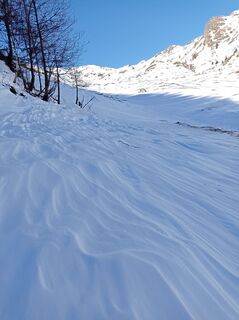 Photo de Aner le long du parcours