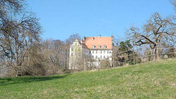 Schloss Neubronn
