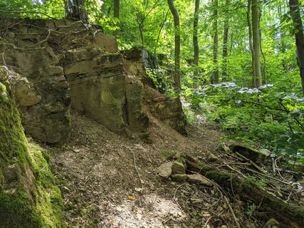 Fossiliengrund©Tourist-Information Lage.jpg