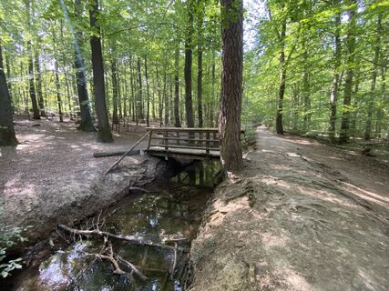 Foto von Arthur Muskalla entlang der Tour