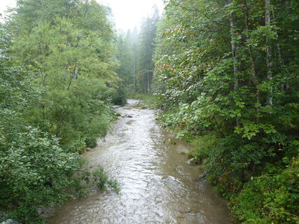 über die kalte Mürz