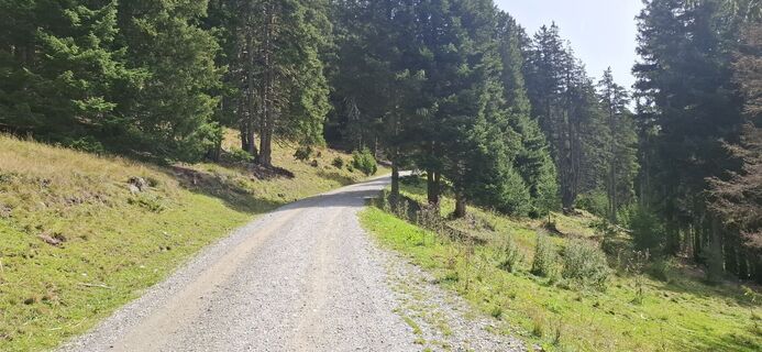 Fotografija s spletne strani Christian Freythaler na poti