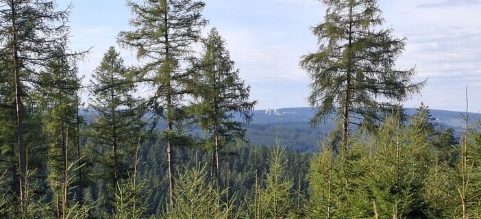Zdjęcie z Karin-Wandert wzdłuż trasy