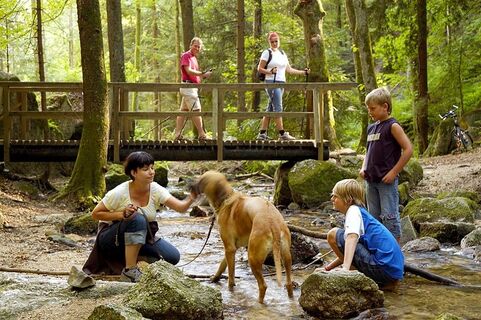 Wolfsschlucht in Bad Kreuzen im Strudengau