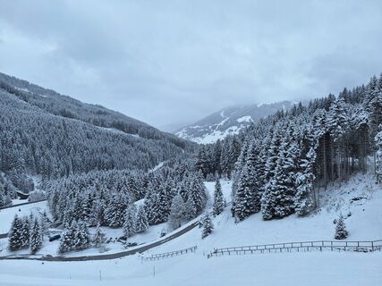 Fotografia z Jaap Rozeboom na trase