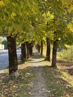 Photo de Markus Vogl le long du parcours