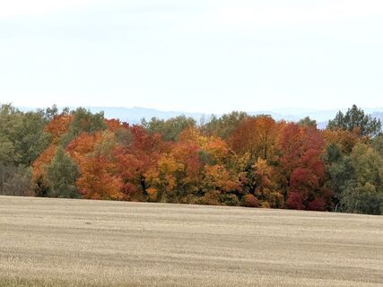 Foto von Norbert Herbig entlang der Tour