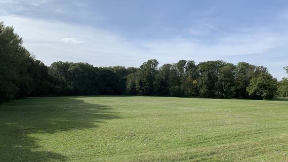 Foto fra Lomalinda undervejs på turen