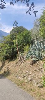 Foto von Jerzy borys entlang der Tour