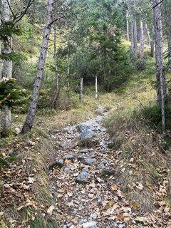 Foto de Max Ammereller a lo largo del recorrido