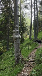 Photo de Luca Sangiorgio le long du parcours