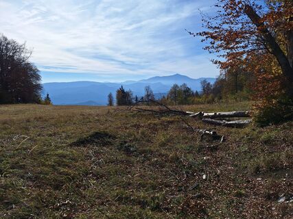 Foto von RobuC entlang der Tour