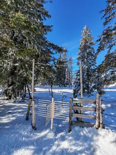 Fotografija s spletne strani v.stein na poti