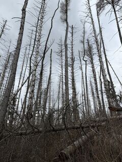 Photo de Christian H. le long du parcours