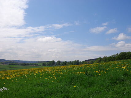 Panorama vom Mühlenweg