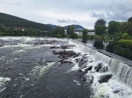 Fotografia z Willy De Coninck na trase