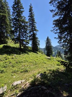 Photo de Franz Scholler 1 le long du parcours