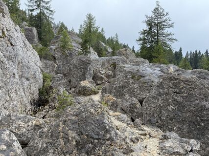 Fotografia z C Verbeek na trase