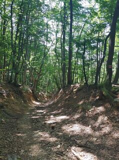 Fotografia z Edit Szabó 1 na trase