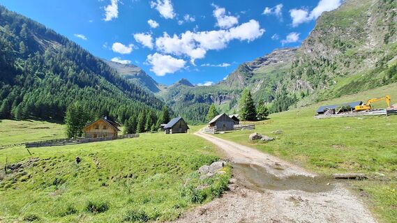 Photo de Monalisa le long du parcours