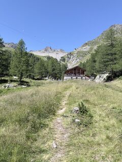 Fotografija s spletne strani Hopps na poti