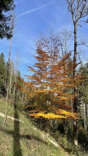 Photo de Brge68 le long du parcours