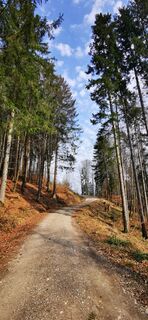 Fotografie de la Klaus Lehner de-a lungul turului