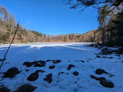 Foto da Andreas Schnur lungo il tour