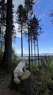 Foto von Maja Mariann Nagy entlang der Tour