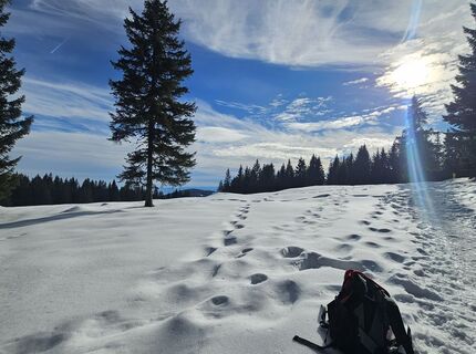Foto von Franz Russ entlang der Tour