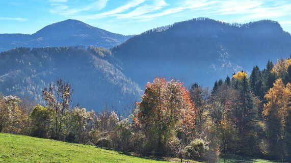 Fotografija s spletne strani Regina Fleischmann na poti