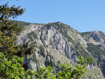 Schneealpe - Höhenwanderung über Blumenwiesen