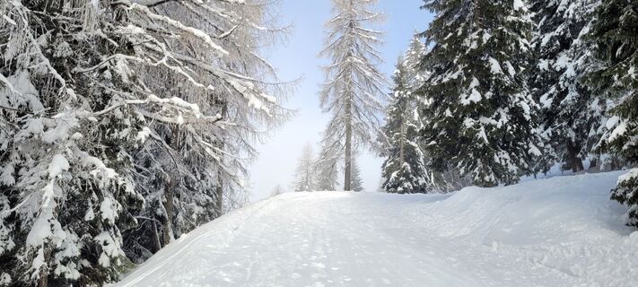 Fotografia z Nicky na trase