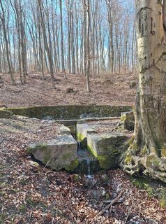 Foto von Aurél Kreutzer entlang der Tour