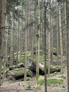 Foto de Florian Leopold Stonig a lo largo del recorrido