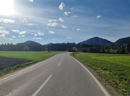 Fotografie z Grizli na trase