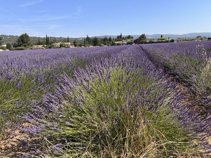 Foto de jml a lo largo del recorrido