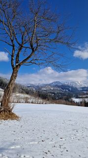 Photo de Monika Gabler le long du parcours