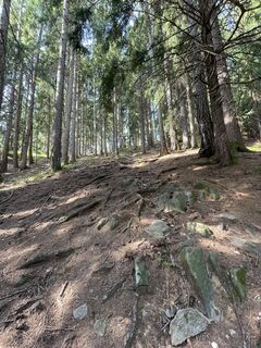 Foto von Silke entlang der Tour