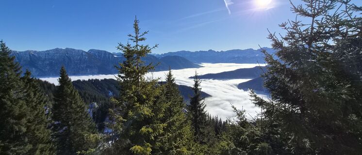 Foto von Bertl 1 entlang der Tour