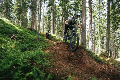 Mountainbiker auf dem Hochalm Trail