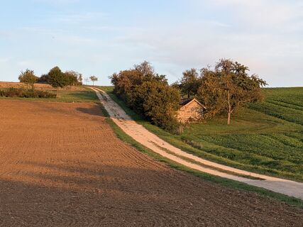 Foto von Schaali entlang der Tour