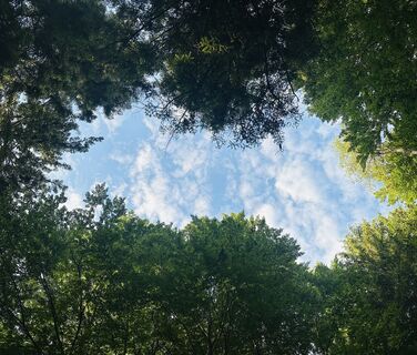 Fotó a Dani Geiger / Natur_erleben_dg honlapról a túra során