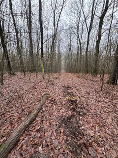 Foto de Róbert Mészáros a lo largo del recorrido