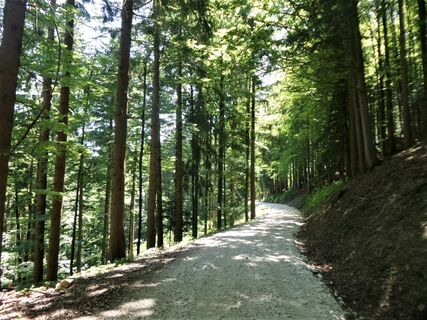 Forstweg