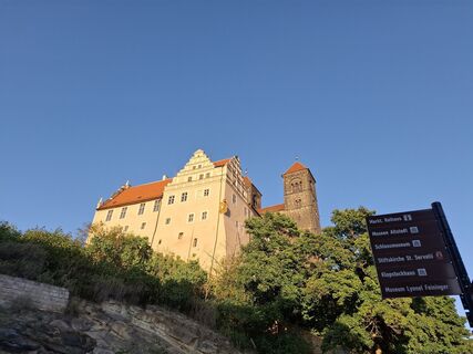 Foto von nordbergschnecke entlang der Tour